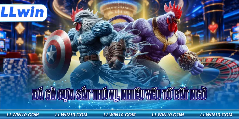 Đá gà cựa sắt thú vị, nhiều yếu tố bất ngờ