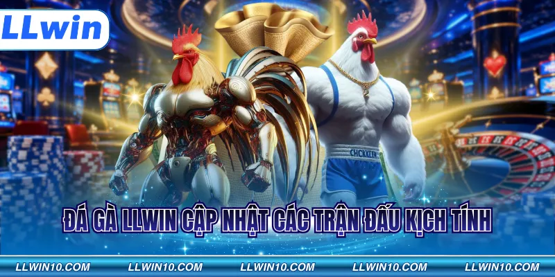 Đá gà LLWIN cập nhật các trận đấu kịch tính