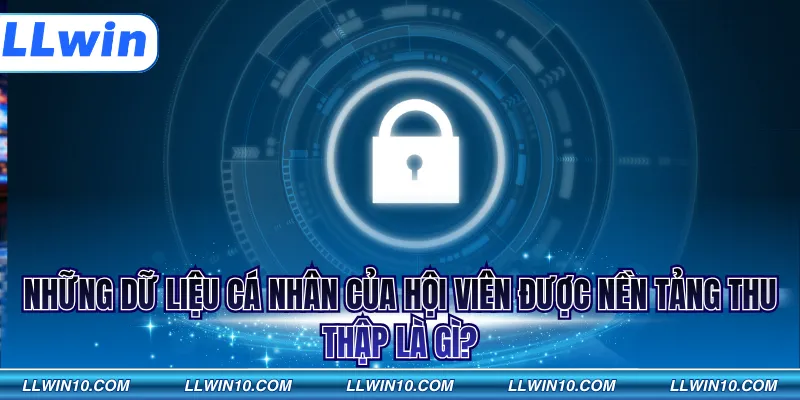 Những dữ liệu cá nhân của hội viên được nền tảng thu thập là gì?